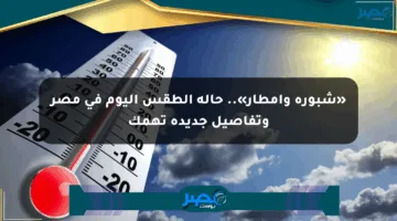 «شبورة وأمطار».. حالة الطقس اليوم في مصر وتفاصيل جديدة تهمك